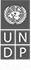 Лого UNDP