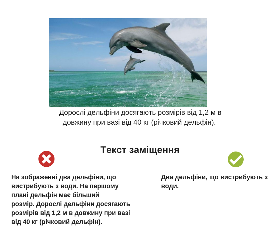 Рекомендація альтернативного тексту з фото дельфіна