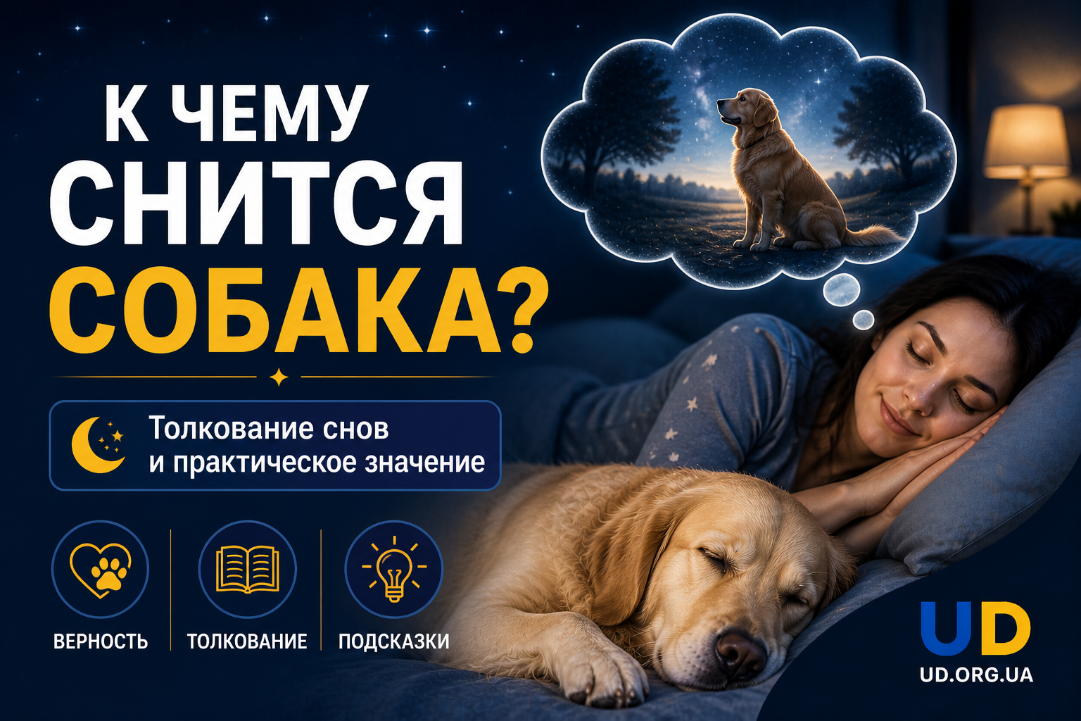 К чему снится собака: толкование снов и практическое значение - Ukraine Daily