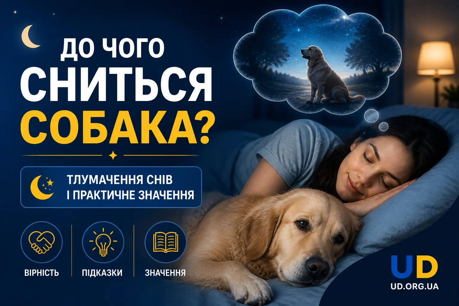 До чого сниться собака: тлумачення снів і практичне значення - Ukraine Daily